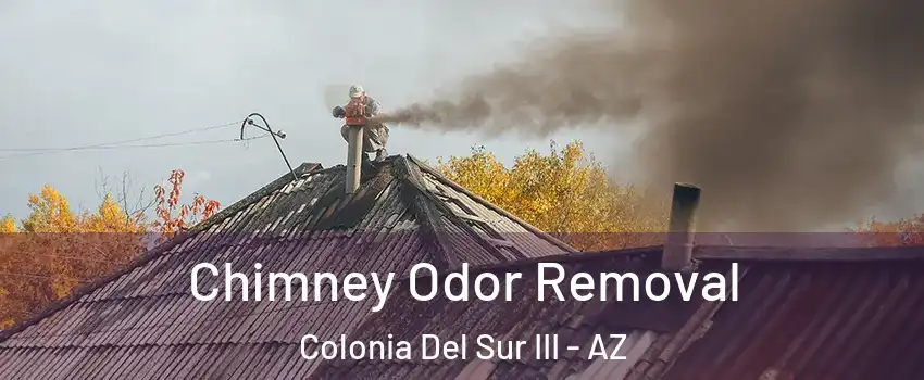 Chimney Odor Removal Colonia Del Sur III - AZ