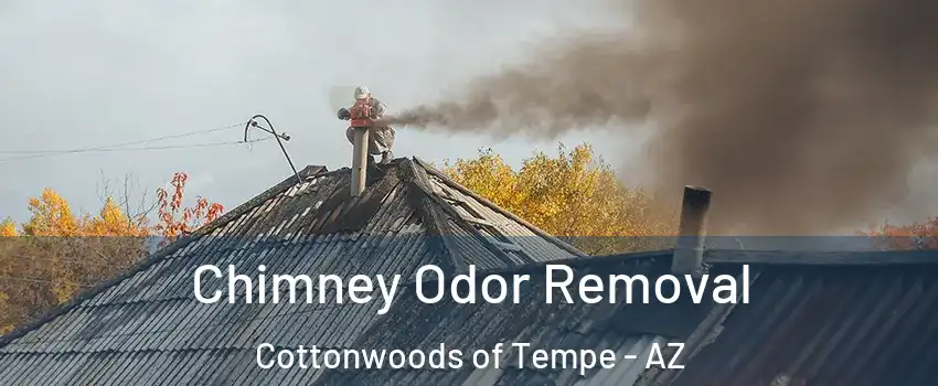 Chimney Odor Removal Cottonwoods of Tempe - AZ