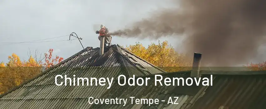 Chimney Odor Removal Coventry Tempe - AZ