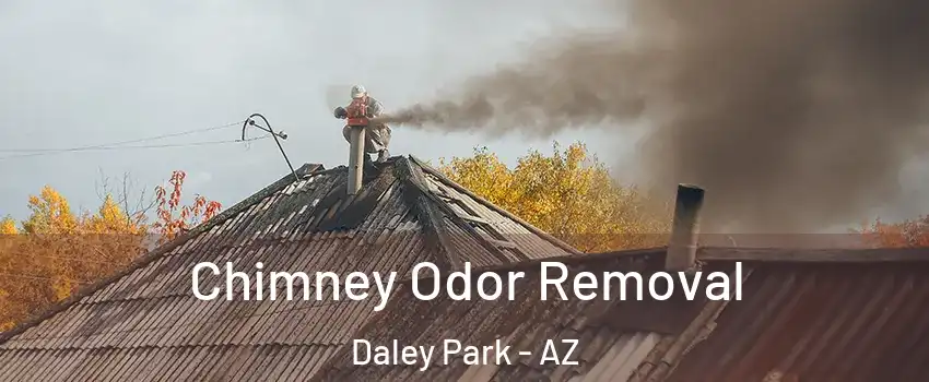 Chimney Odor Removal Daley Park - AZ
