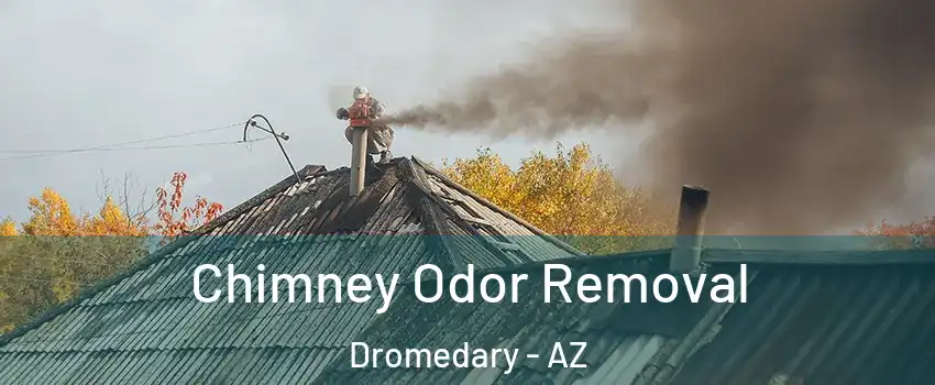 Chimney Odor Removal Dromedary - AZ
