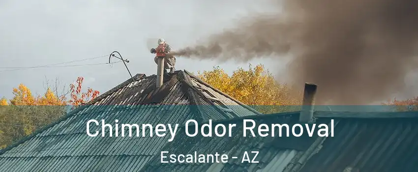 Chimney Odor Removal Escalante - AZ