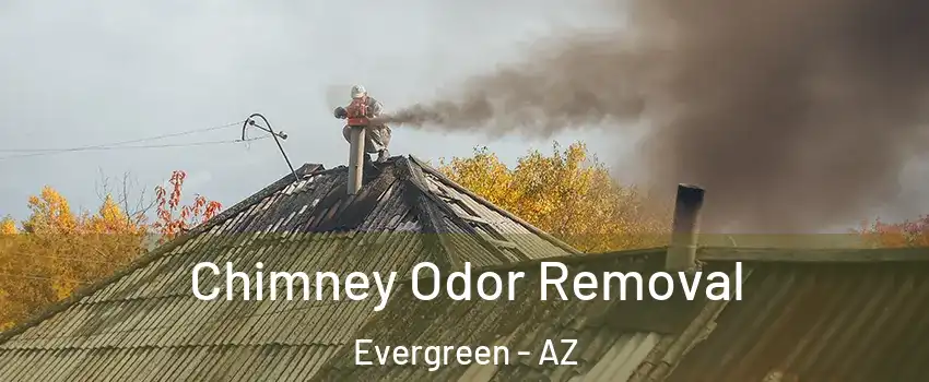 Chimney Odor Removal Evergreen - AZ