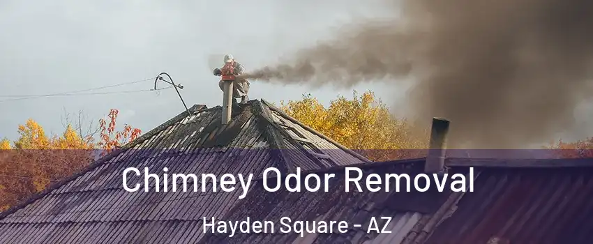 Chimney Odor Removal Hayden Square - AZ