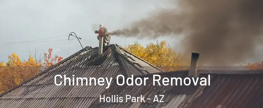 Chimney Odor Removal Hollis Park - AZ