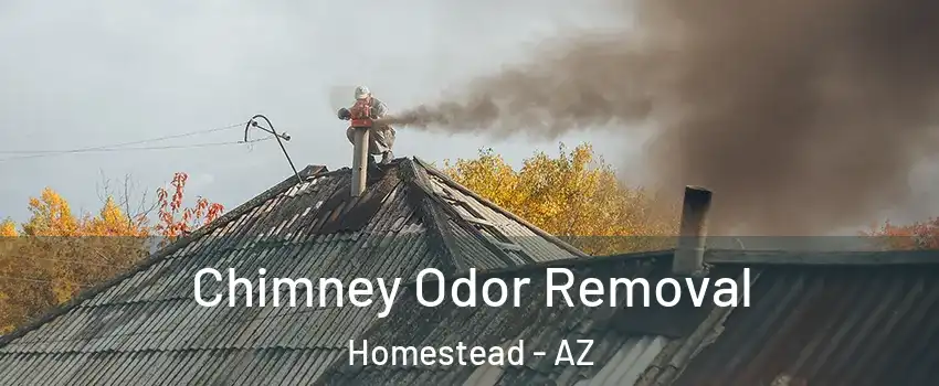 Chimney Odor Removal Homestead - AZ