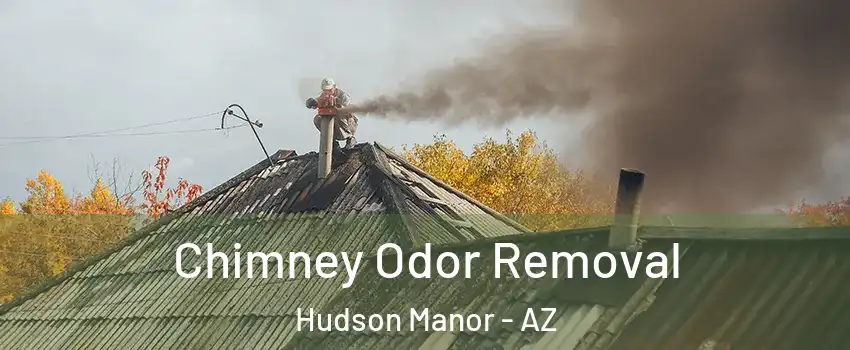 Chimney Odor Removal Hudson Manor - AZ
