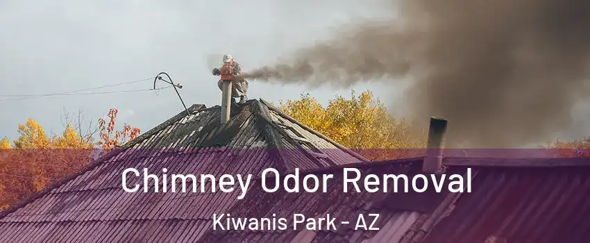 Chimney Odor Removal Kiwanis Park - AZ
