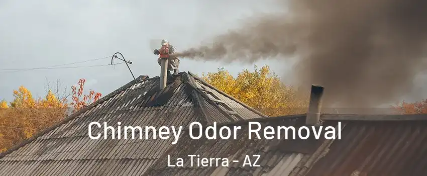 Chimney Odor Removal La Tierra - AZ