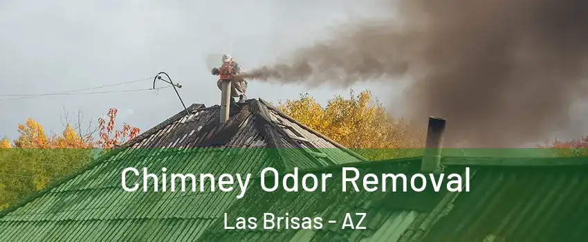 Chimney Odor Removal Las Brisas - AZ
