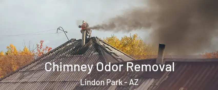 Chimney Odor Removal Lindon Park - AZ