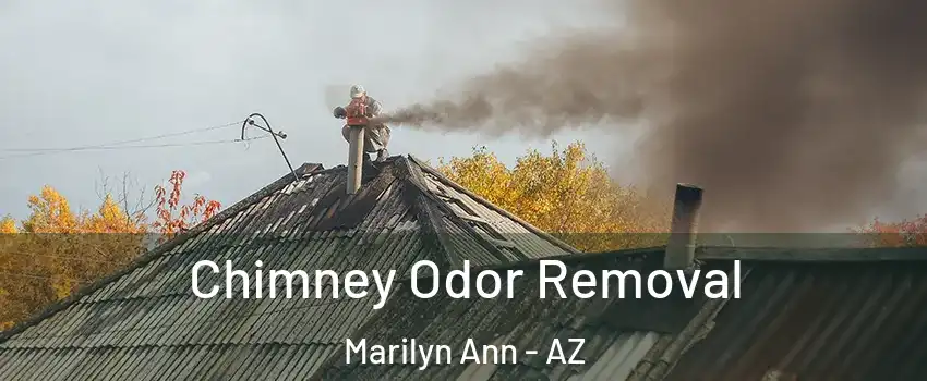 Chimney Odor Removal Marilyn Ann - AZ
