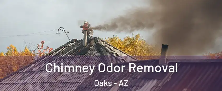 Chimney Odor Removal Oaks - AZ