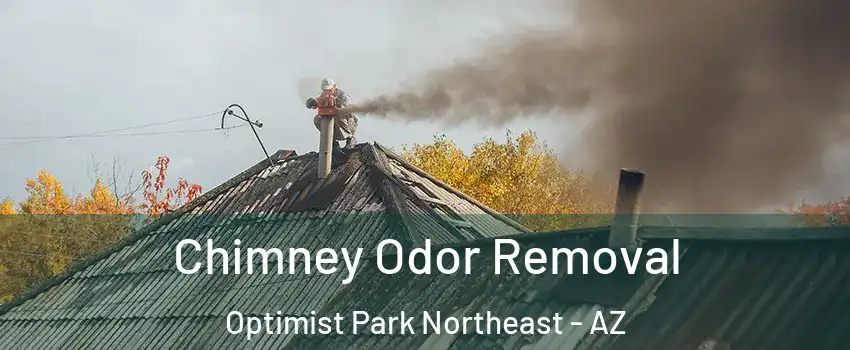 Chimney Odor Removal Optimist Park Northeast - AZ