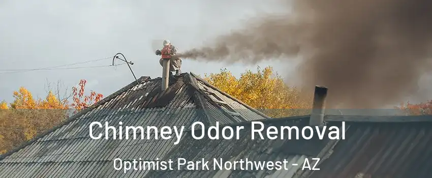 Chimney Odor Removal Optimist Park Northwest - AZ