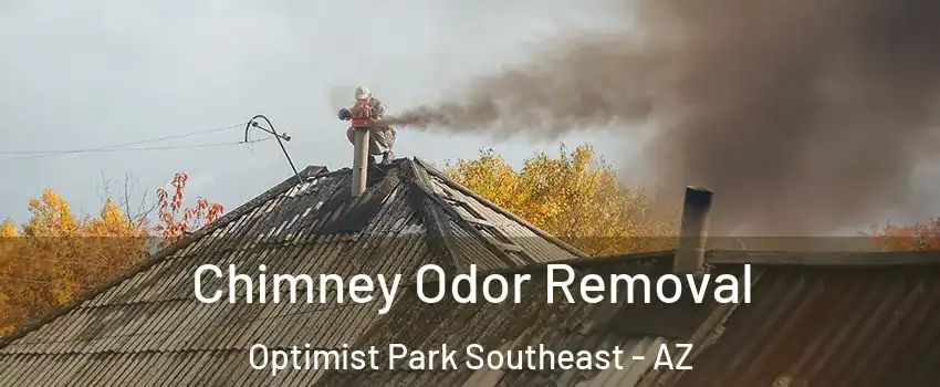 Chimney Odor Removal Optimist Park Southeast - AZ