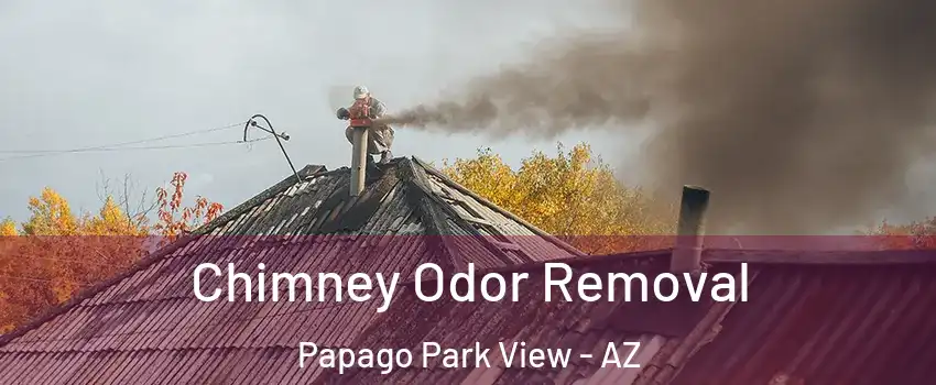 Chimney Odor Removal Papago Park View - AZ