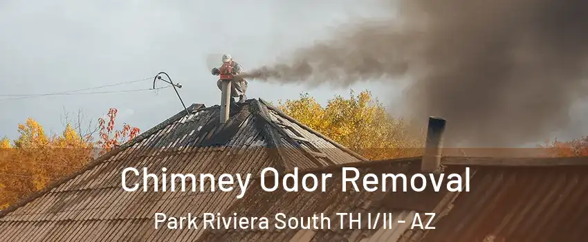 Chimney Odor Removal Park Riviera South TH I/II - AZ