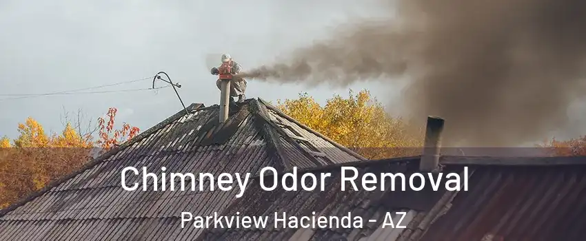 Chimney Odor Removal Parkview Hacienda - AZ