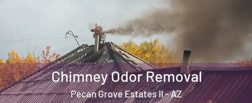 Chimney Odor Removal Pecan Grove Estates II - AZ