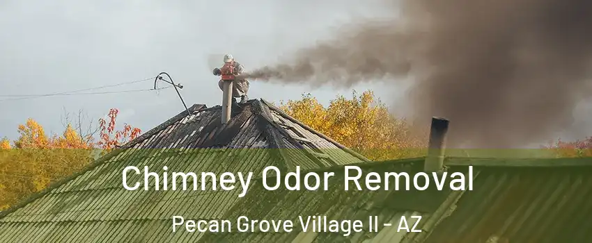 Chimney Odor Removal Pecan Grove Village II - AZ