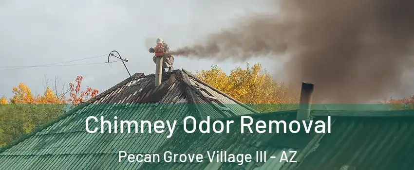 Chimney Odor Removal Pecan Grove Village III - AZ