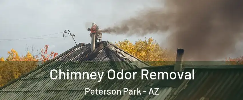 Chimney Odor Removal Peterson Park - AZ