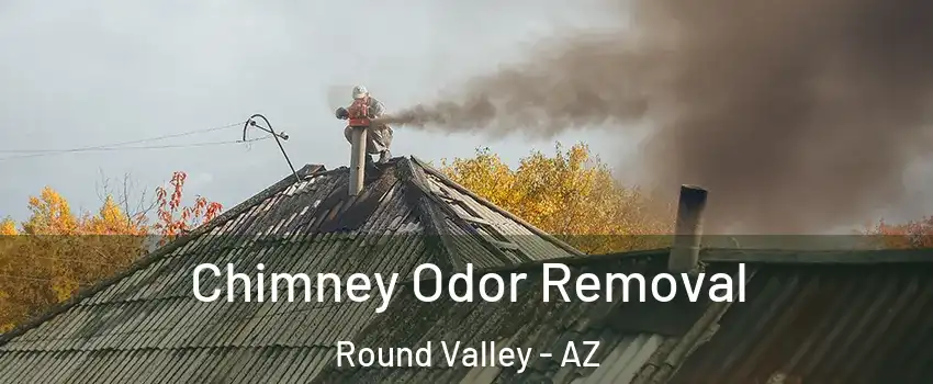 Chimney Odor Removal Round Valley - AZ