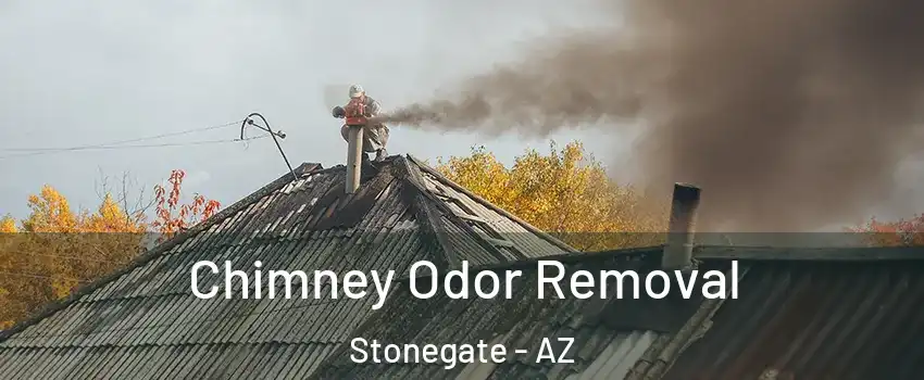 Chimney Odor Removal Stonegate - AZ