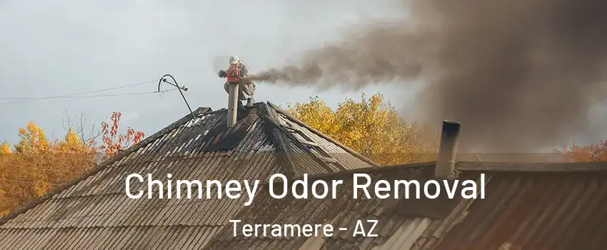 Chimney Odor Removal Terramere - AZ