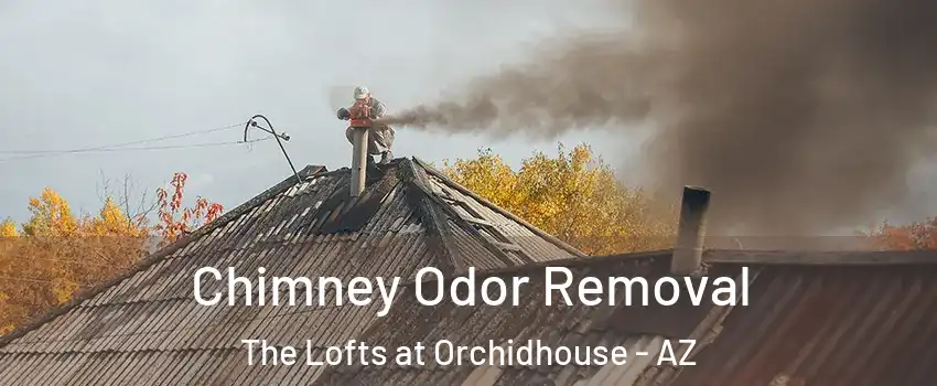 Chimney Odor Removal The Lofts at Orchidhouse - AZ