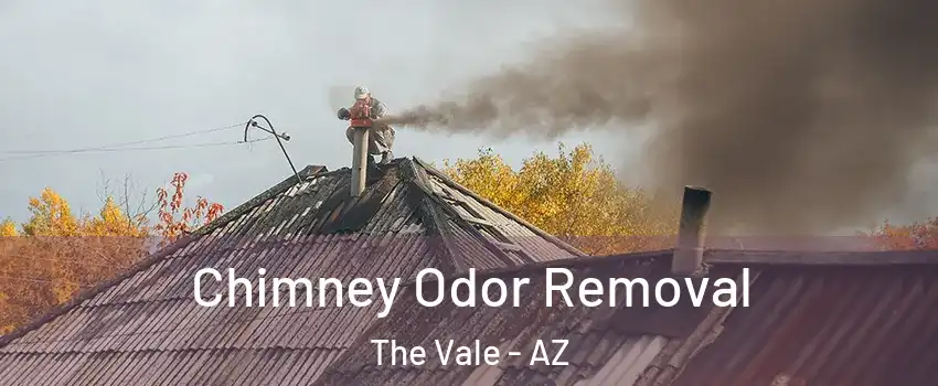 Chimney Odor Removal The Vale - AZ