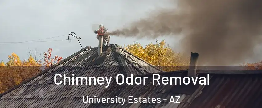 Chimney Odor Removal University Estates - AZ
