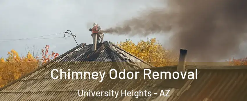 Chimney Odor Removal University Heights - AZ