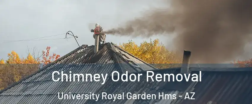 Chimney Odor Removal University Royal Garden Hms - AZ