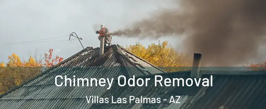Chimney Odor Removal Villas Las Palmas - AZ