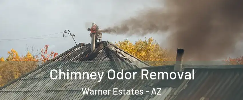 Chimney Odor Removal Warner Estates - AZ