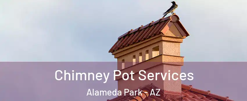 Chimney Pot Services Alameda Park - AZ