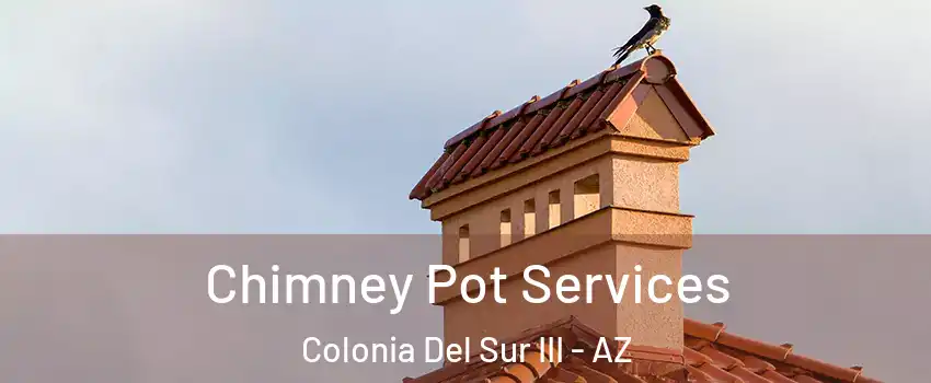 Chimney Pot Services Colonia Del Sur III - AZ