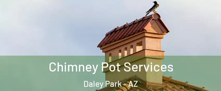 Chimney Pot Services Daley Park - AZ