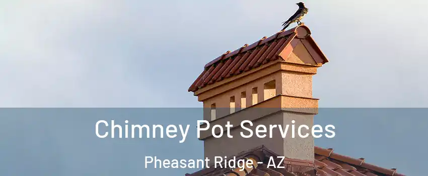 Chimney Pot Services Pheasant Ridge - AZ