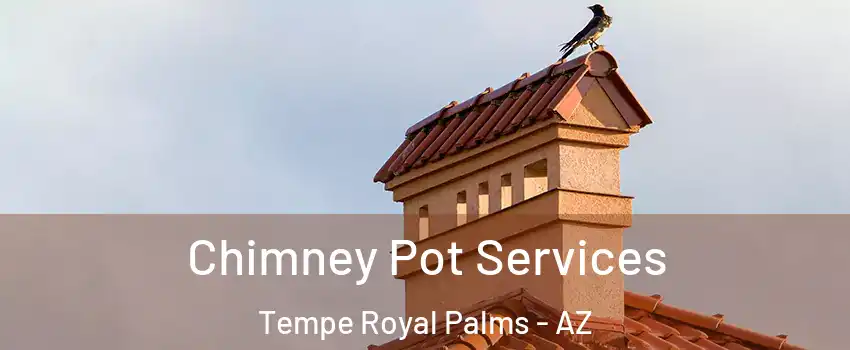 Chimney Pot Services Tempe Royal Palms - AZ