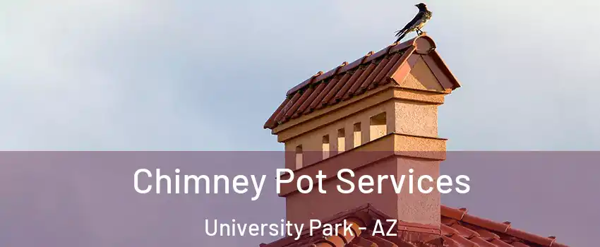 Chimney Pot Services University Park - AZ