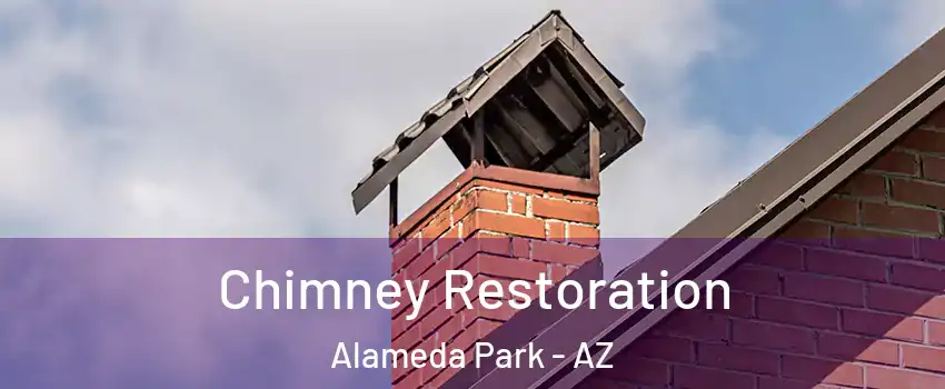 Chimney Restoration Alameda Park - AZ