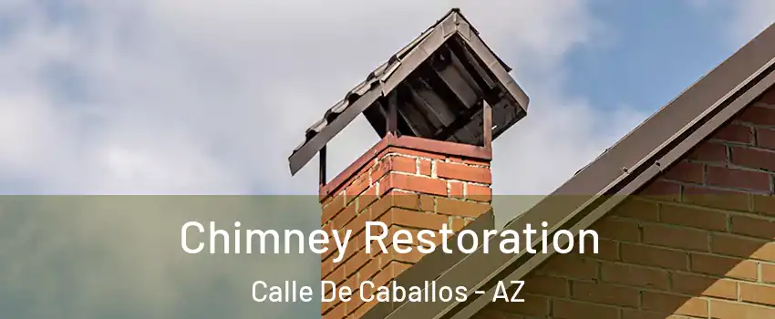 Chimney Restoration Calle De Caballos - AZ