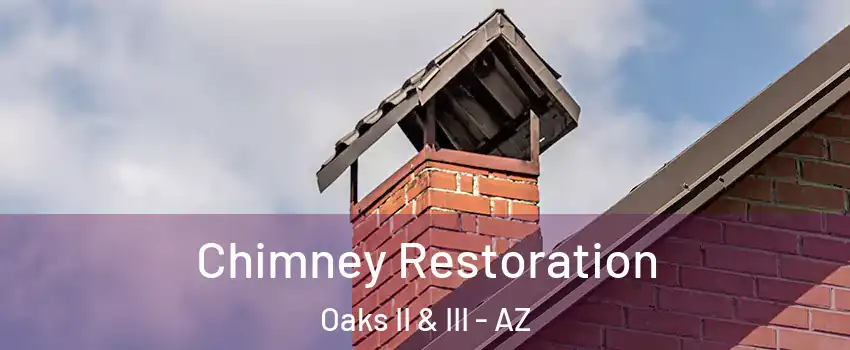 Chimney Restoration Oaks II & III - AZ