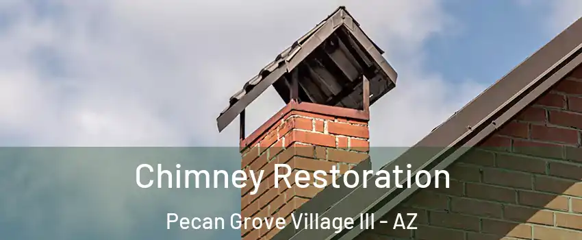 Chimney Restoration Pecan Grove Village III - AZ