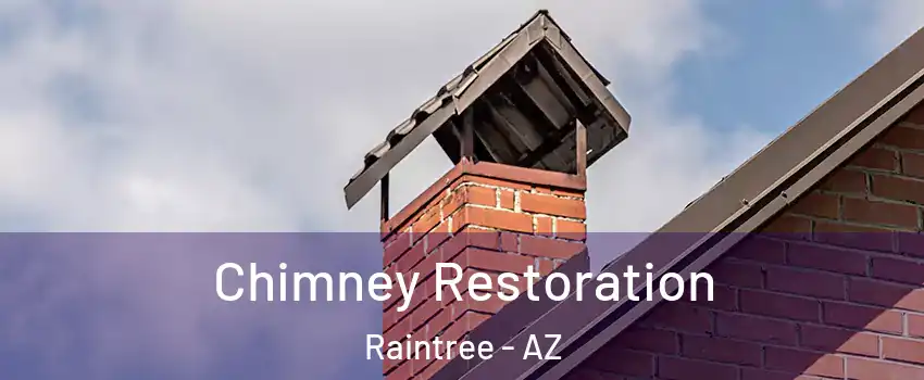 Chimney Restoration Raintree - AZ