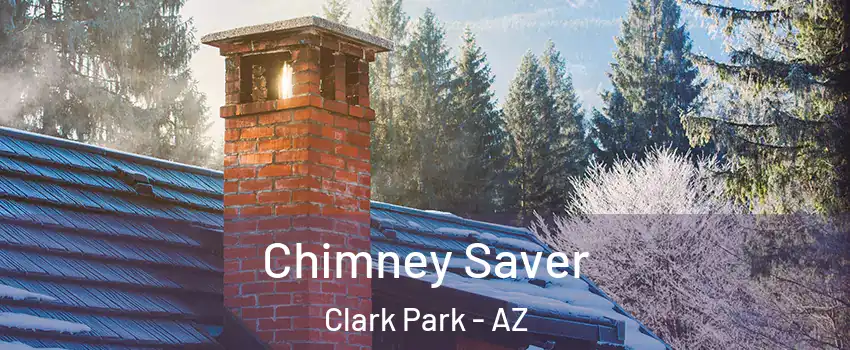 Chimney Saver Clark Park - AZ