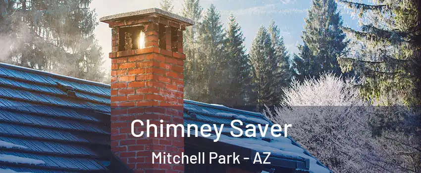 Chimney Saver Mitchell Park - AZ